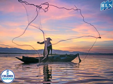 Specific Fishing Seasons in Makassar Waters: Fishermen's Fortune Calendar
